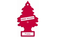 Plaquettes imprégnées