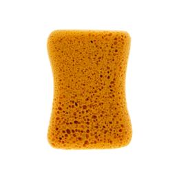 CARLINEA EPONGE GRAND LAVAGE